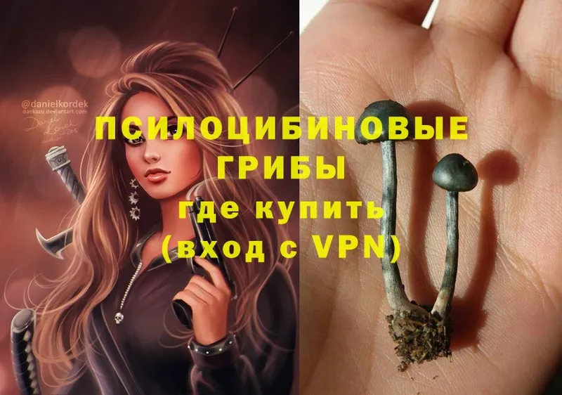 kraken ссылки  Алексеевка  Галлюциногенные грибы Psilocybe 